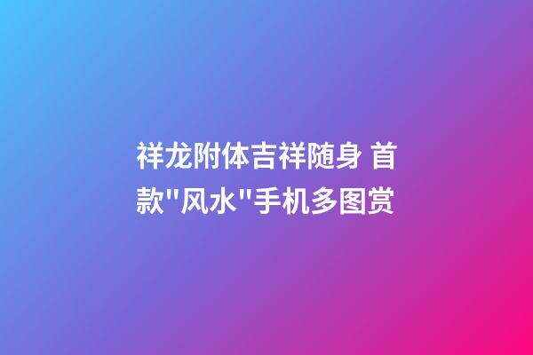 祥龙附体吉祥随身 首款"风水"手机多图赏